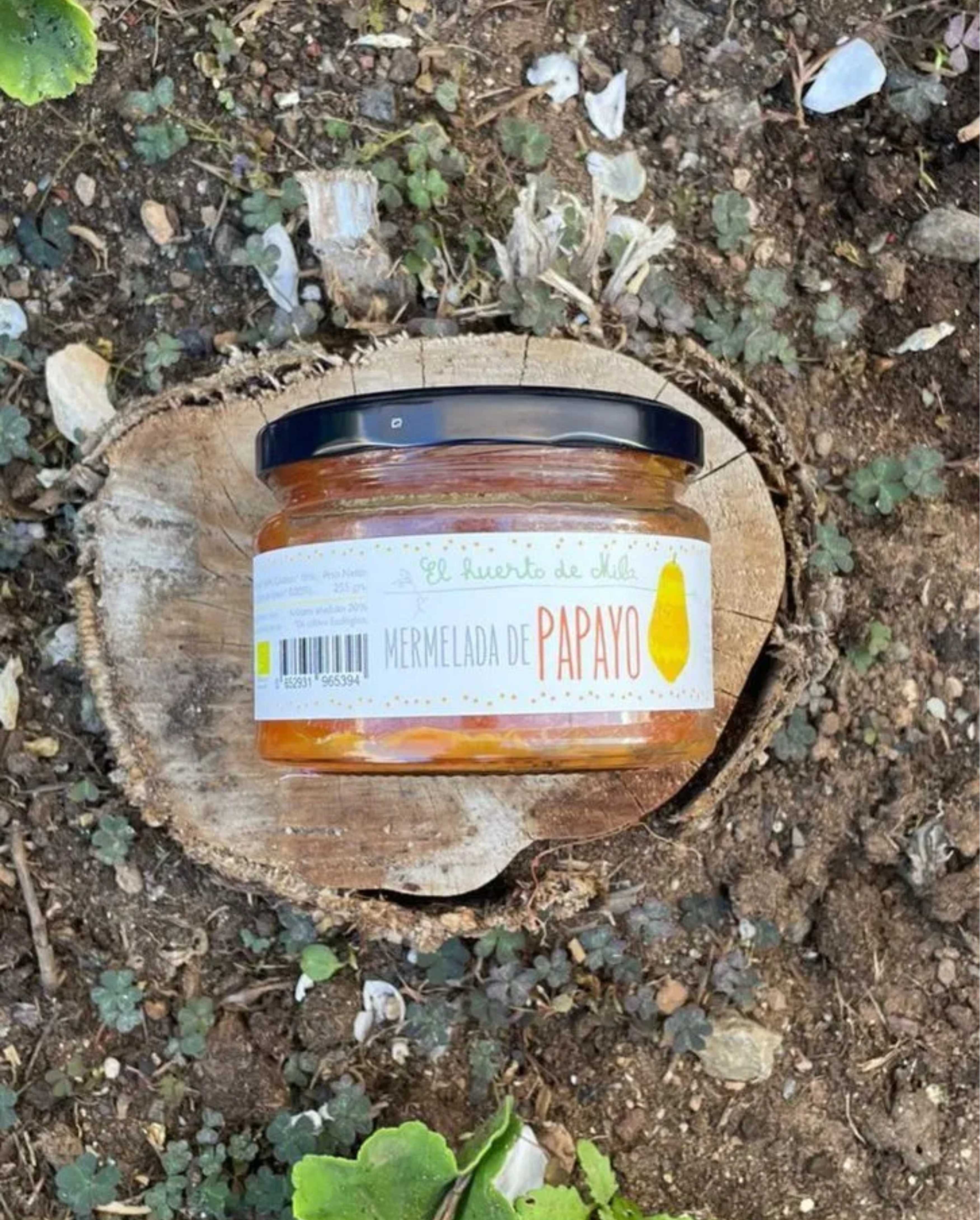 Tatiana Ley Lanzarote